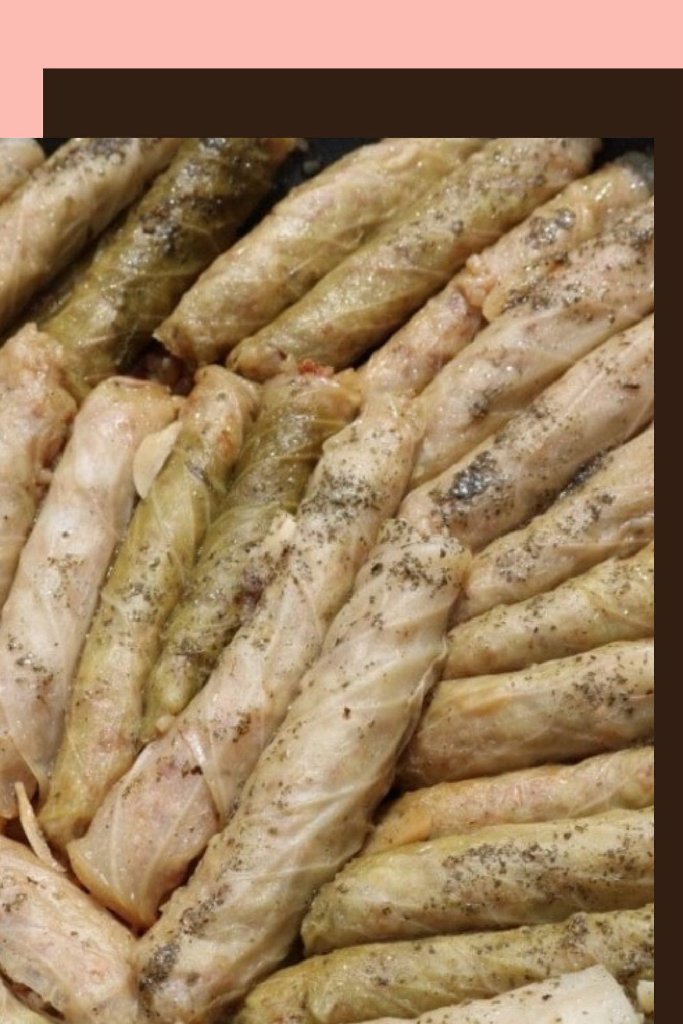 Cabbage Rolls (1.9 lbs 20-25 pcs) - Lebanesefeastusa