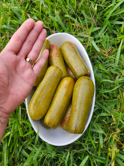KOUSA (zucchini) 2 BIG pcs - Lebanesefeastusa