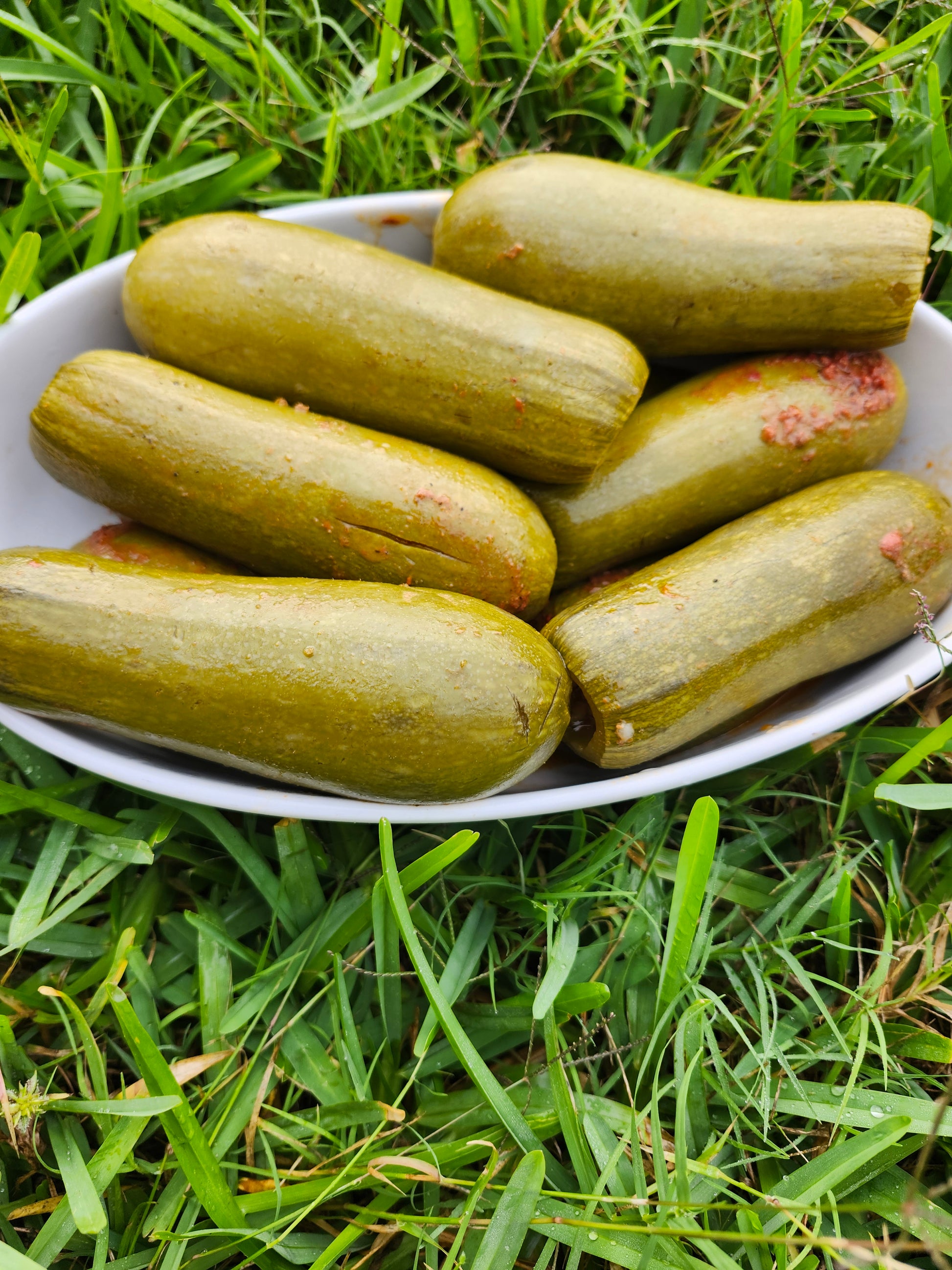 KOUSA (zucchini) 2 BIG pcs - Lebanesefeastusa